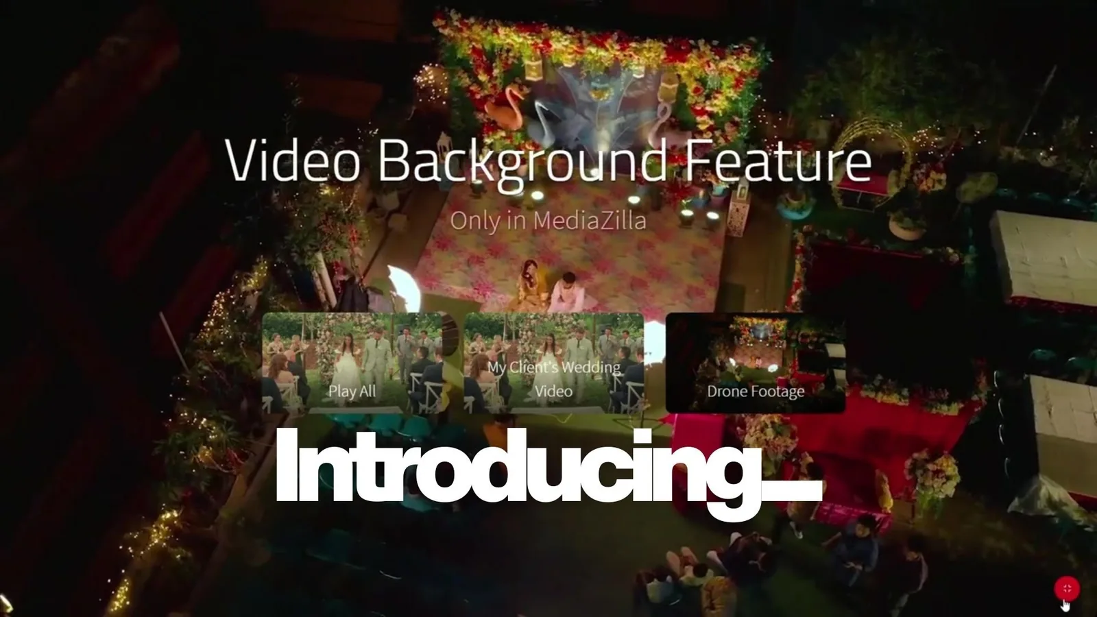 New Feature: Enhance Your Client Deliveries with Video Backgrounds on MediaZilla