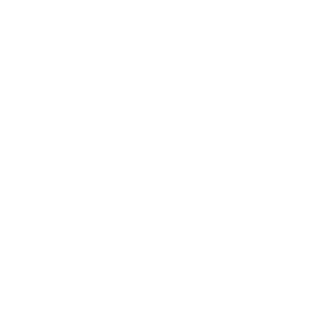 Ray Roman